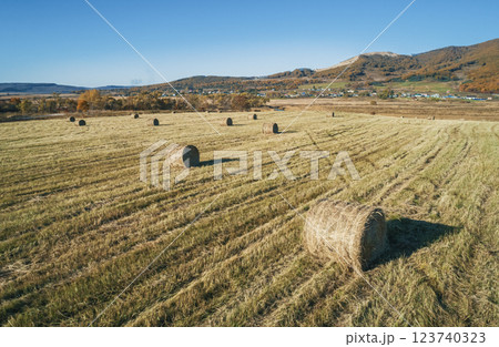 Harvested field with hay bales under a clear blue sky during autumn in a rural area. 123740323