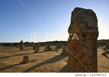 ピナクルズ、砂漠の奇岩 123740723