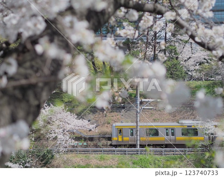 桜と総武線(飯田橋・市ヶ谷付近のお堀) 桜と総武線(飯田橋・市ヶ谷付近のお堀) 123740733