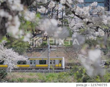 桜と総武線(飯田橋・市ヶ谷付近のお堀) 桜と総武線(飯田橋・市ヶ谷付近のお堀) 123740735