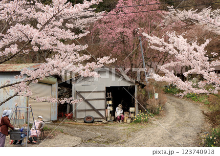 春のかかしの里の風景 123740918