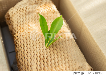 Green leaf on eco friendly brown paper honeycomb wrap for product packaging parcel carton box Green leaf on eco friendly brown paper honeycomb wrap for product packaging parcel carton box 123740966