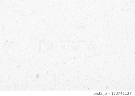 White recycle craft paper cardboard surface texture background 123741127