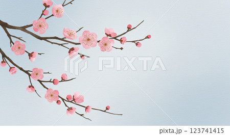水彩風の梅の花と淡い空の背景 123741415