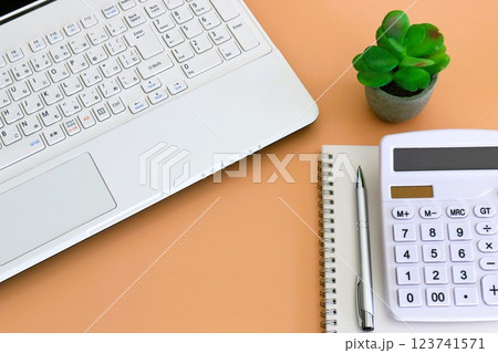 ビジネスイメージ　デスクワーク　ビジネスアイテム 123741571