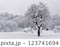 白川郷の大雪 123741694