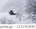白川郷の大雪 123741695