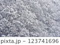 白川郷の大雪 123741696