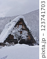白川郷の大雪 123741703