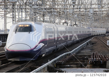東北新幹線を行くE2系1000番台やまびこ号 123742010