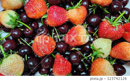 Fresh Strawberries and Cherries on a White Background Fresh Strawberries and Cherries on a White Background 123742126