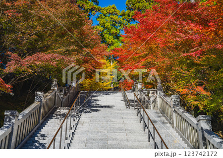 袋井市にある法多山尊永寺の秋の紅葉に染まる参道の風景(静岡県) 123742172