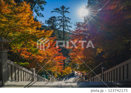 袋井市にある法多山尊永寺の秋の紅葉に染まる階段の風景(静岡県) 袋井市にある法多山尊永寺の秋の紅葉に染まる階段の風景(静岡県) 123742175