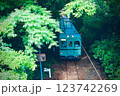 森林鉄道の中を走る電車【銚子電鉄（本銚子駅）千葉県銚子市清水町】 123742269