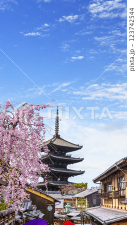 京都 八坂の塔と満開の桜 123742544