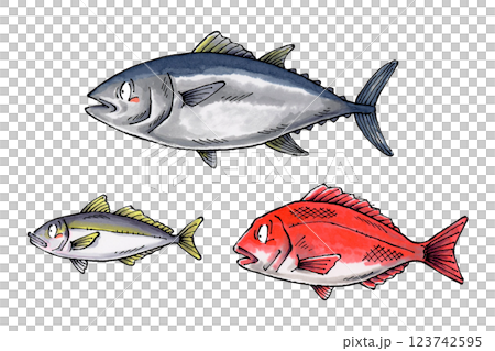 Tuna, Sea Bream, Horse Mackerel 123742595
