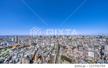 日本の東京都市景観 渋谷や新宿、池袋、電車。澄み渡る青空、関東平野の山々も一望…男体山も… 日本の東京都市景観 渋谷や新宿、池袋、電車。澄み渡る青空、関東平野の山々も一望…男体山も… 123742704