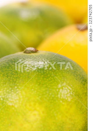 西浦みかん　早生ミカン　クローズアップ　緑色の皮　静岡県産 123742705