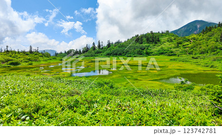 夏の火打山・妙高山登山（高谷池） 123742781
