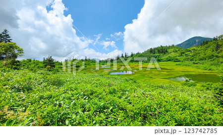 夏の火打山・妙高山登山（高谷池） 123742785