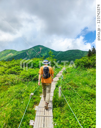 夏の火打山・妙高山登山（高谷池～天狗の庭） 123742874