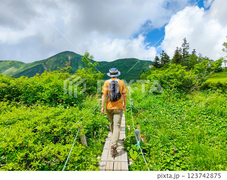 夏の火打山・妙高山登山（高谷池～天狗の庭） 123742875