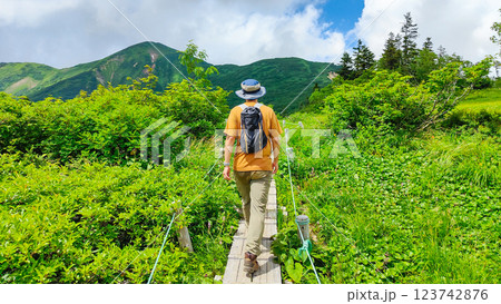 夏の火打山・妙高山登山（高谷池～天狗の庭） 123742876