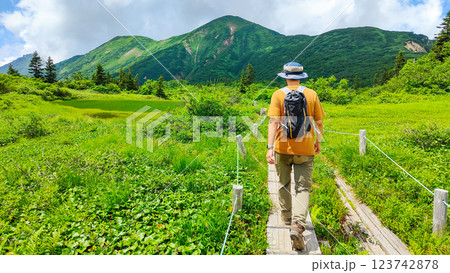 夏の火打山・妙高山登山（高谷池～天狗の庭） 123742878