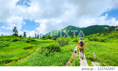 夏の火打山・妙高山登山（高谷池～天狗の庭） 123742897
