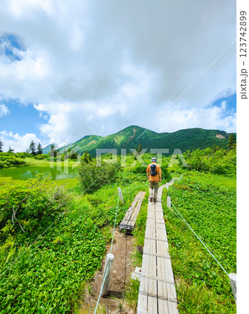 夏の火打山・妙高山登山（高谷池～天狗の庭） 123742899