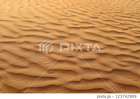 landscape in the Judean Desert in southern Israel 123742909