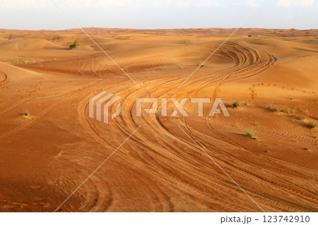 landscape in the Judean Desert in southern Israel 123742910