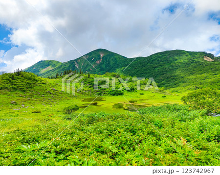 夏の火打山・妙高山登山(天狗の庭と火打山) 夏の火打山・妙高山登山(天狗の庭と火打山) 123742967