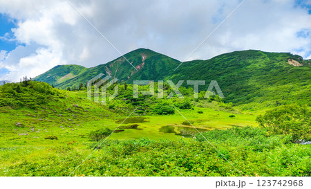夏の火打山・妙高山登山(天狗の庭と火打山) 夏の火打山・妙高山登山(天狗の庭と火打山) 123742968