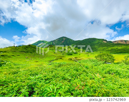 夏の火打山・妙高山登山（天狗の庭と火打山） 123742969