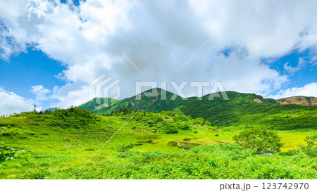 夏の火打山・妙高山登山（天狗の庭と火打山） 123742970