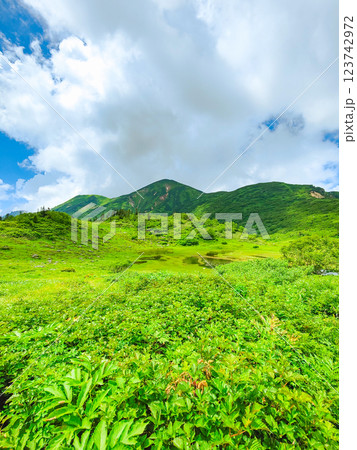 夏の火打山・妙高山登山(天狗の庭と火打山) 夏の火打山・妙高山登山(天狗の庭と火打山) 123742972