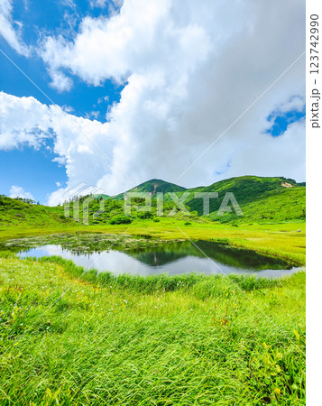 夏の火打山・妙高山登山(天狗の庭と火打山) 夏の火打山・妙高山登山(天狗の庭と火打山) 123742990