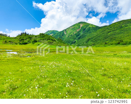 夏の火打山・妙高山登山（天狗の庭と火打山） 123742991