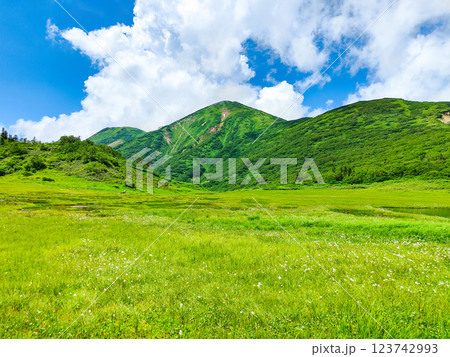 夏の火打山・妙高山登山(天狗の庭と火打山) 夏の火打山・妙高山登山(天狗の庭と火打山) 123742993