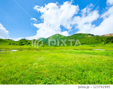夏の火打山・妙高山登山(天狗の庭と火打山) 夏の火打山・妙高山登山(天狗の庭と火打山) 123742995