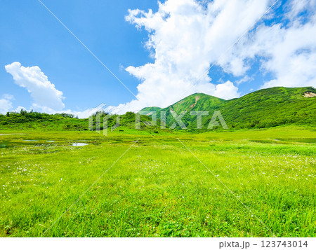 夏の火打山・妙高山登山(天狗の庭と火打山) 夏の火打山・妙高山登山(天狗の庭と火打山) 123743014