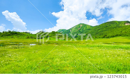 夏の火打山・妙高山登山(天狗の庭と火打山) 夏の火打山・妙高山登山(天狗の庭と火打山) 123743015