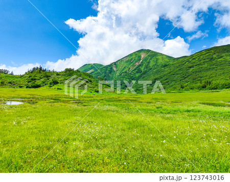 夏の火打山・妙高山登山(天狗の庭と火打山) 夏の火打山・妙高山登山(天狗の庭と火打山) 123743016
