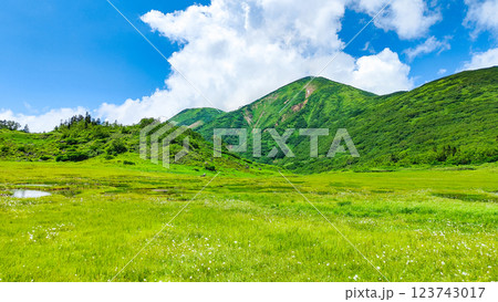 夏の火打山・妙高山登山(天狗の庭と火打山) 夏の火打山・妙高山登山(天狗の庭と火打山) 123743017