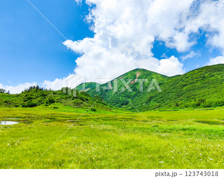 夏の火打山・妙高山登山(天狗の庭と火打山) 夏の火打山・妙高山登山(天狗の庭と火打山) 123743018