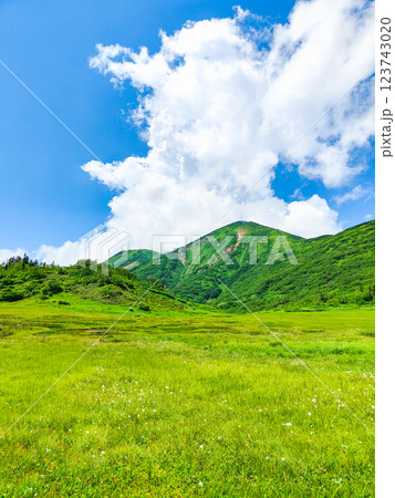 夏の火打山・妙高山登山（天狗の庭と火打山） 123743020