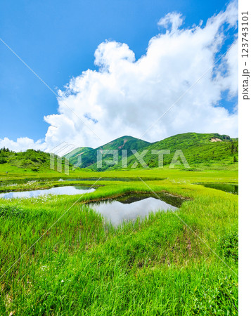 夏の火打山・妙高山登山（天狗の庭と火打山） 123743101