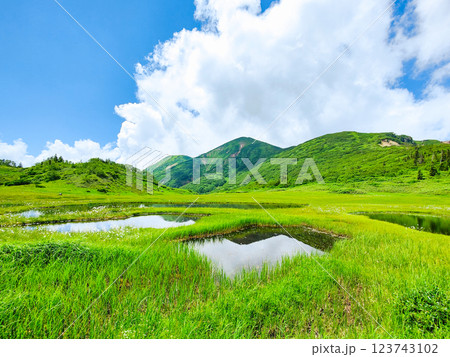 夏の火打山・妙高山登山(天狗の庭と火打山) 夏の火打山・妙高山登山(天狗の庭と火打山) 123743102