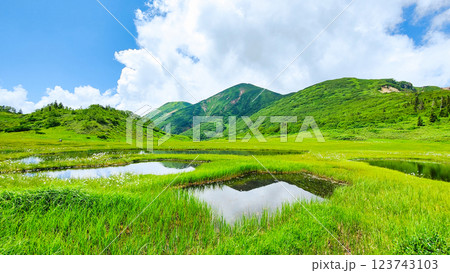 夏の火打山・妙高山登山(天狗の庭と火打山) 夏の火打山・妙高山登山(天狗の庭と火打山) 123743103